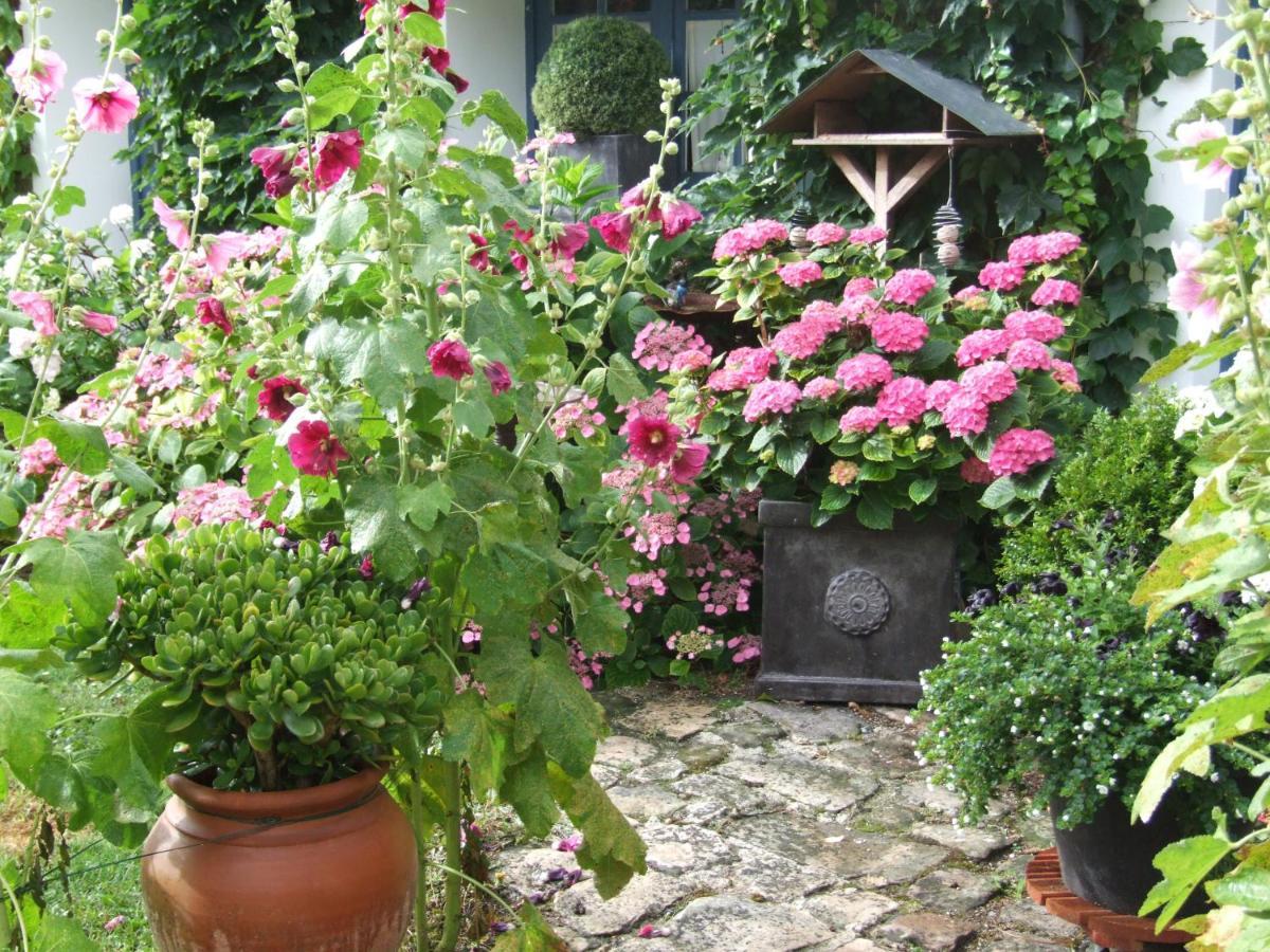 Les Glycines Bed and Breakfast Ury Eksteriør billede