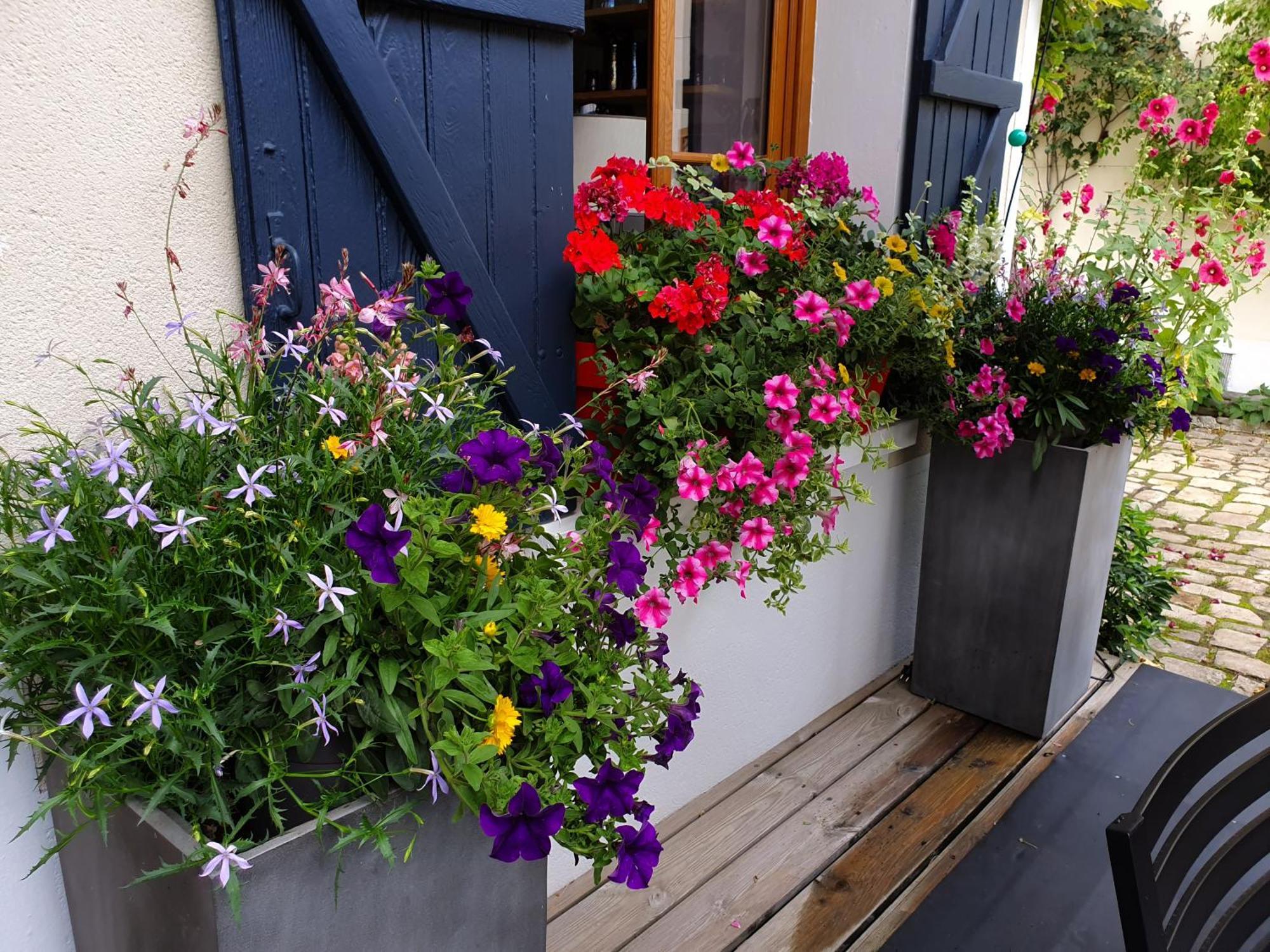 Les Glycines Bed and Breakfast Ury Eksteriør billede