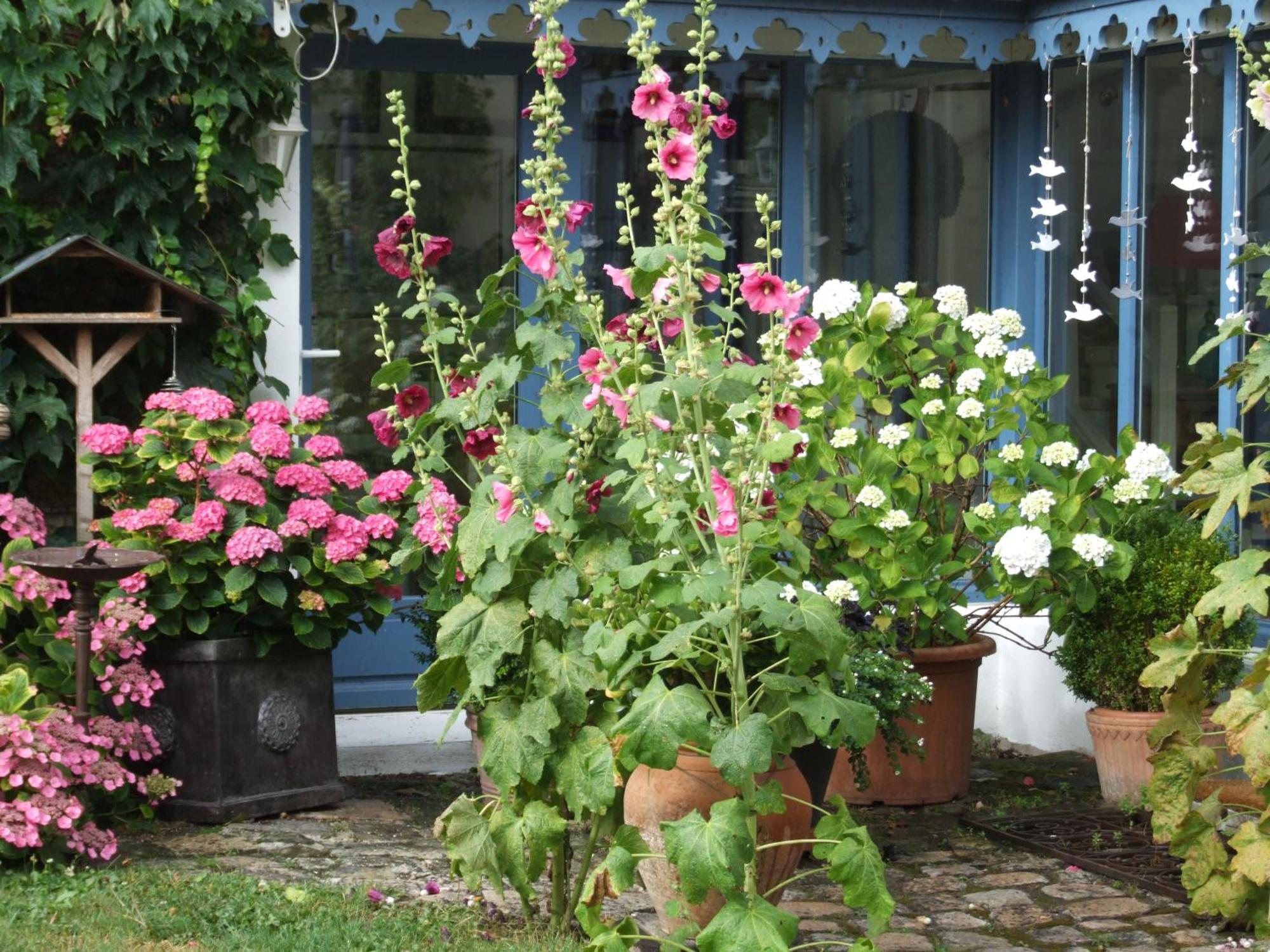 Les Glycines Bed and Breakfast Ury Eksteriør billede